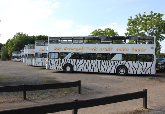 Safari-Busse