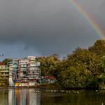 Regenbogen über dem Wald