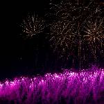 Pyronale Feuerwerk 2018 Bild 56