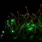 Pyronale Feuerwerk 2018 Bild 37