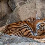 Tierpark Berlin 2019